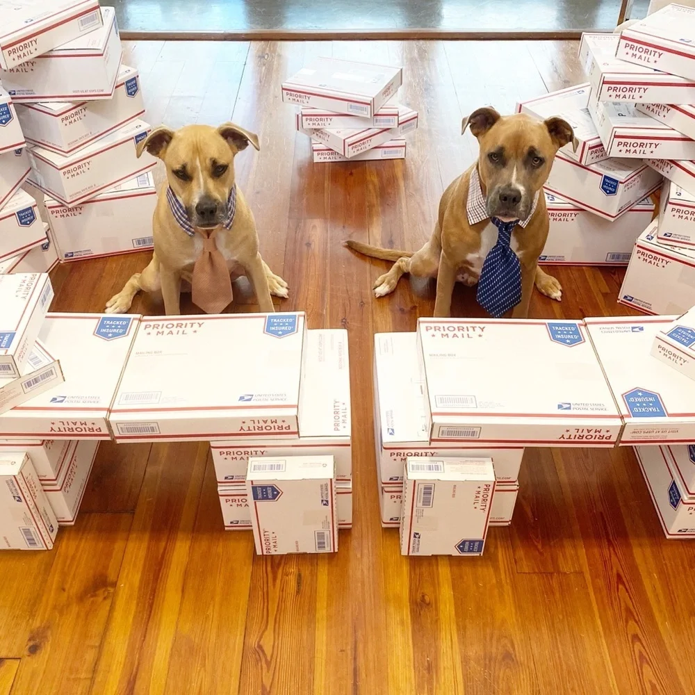 FOLLOW MY CUTE PAWSH ASSISTANTS! 🐶🐶🛍👑🐝 - Picture 10 of 16